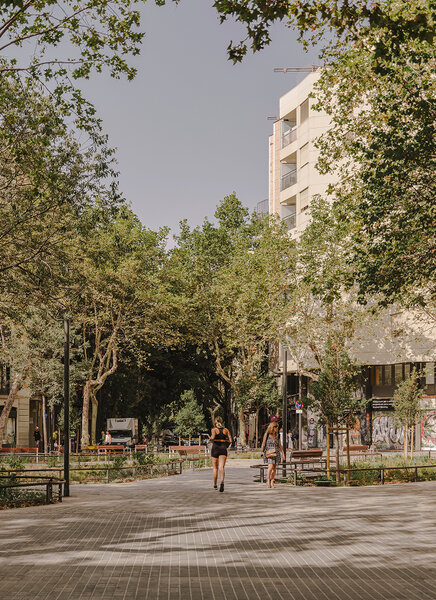 05-Activitat-Arbres-a-la-ciutat