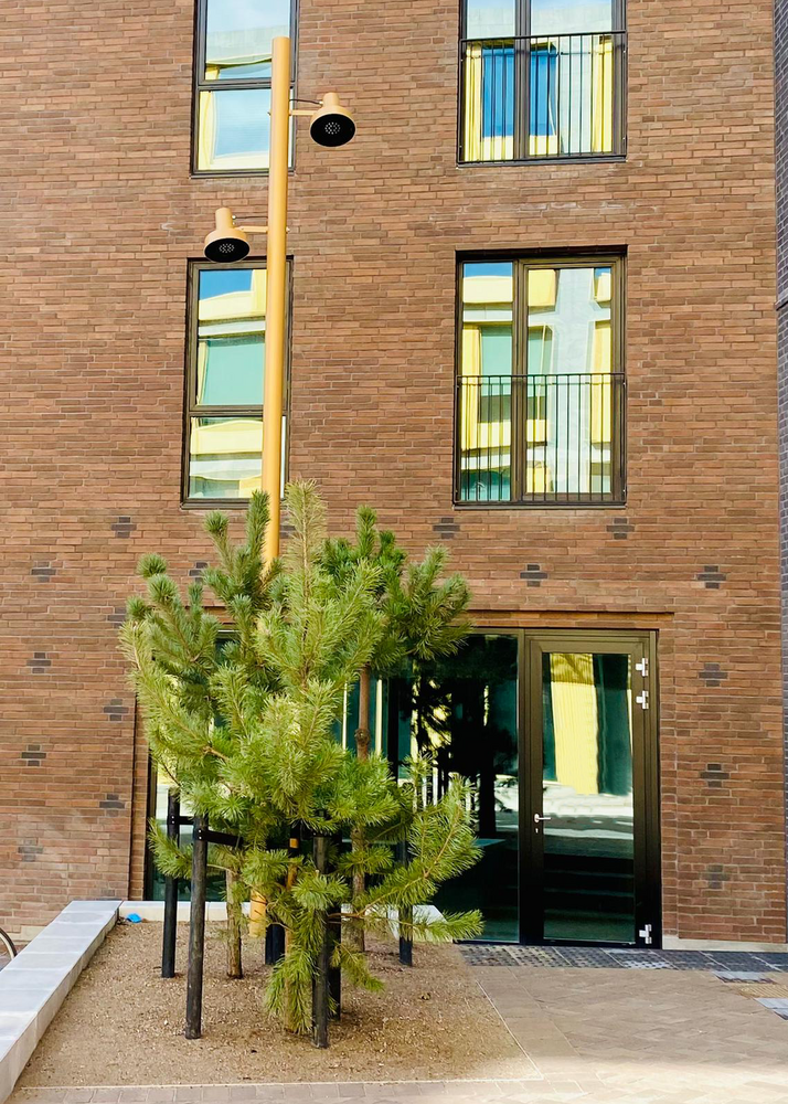 Carlsberg City District Urbidermis