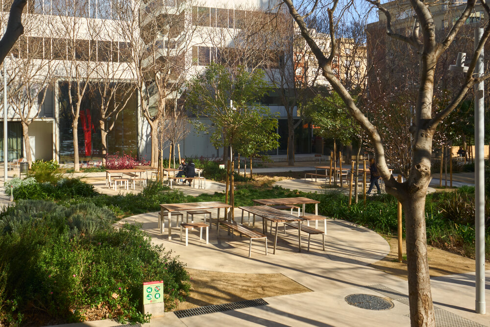 Project-Spain-Barcelona-Jardins-Clara-Campoamor-HAB-HBB-HAM-ARP-CAF-Equipo-Urbidermis-21-x1000.jpg