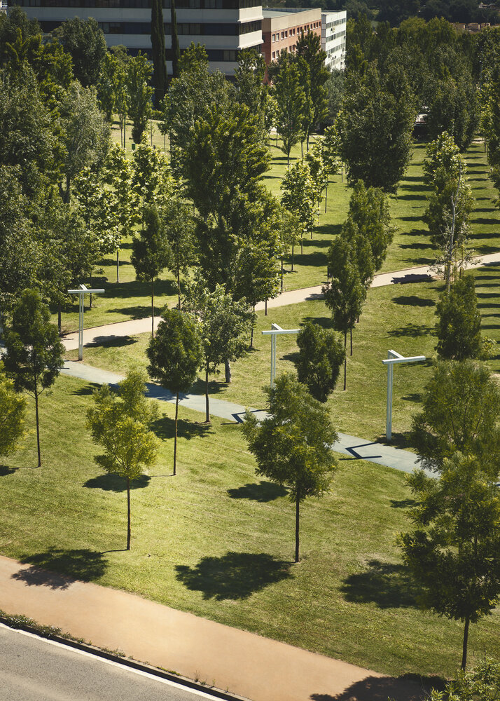 Rambla del Celler Urbanisation Urbidermis